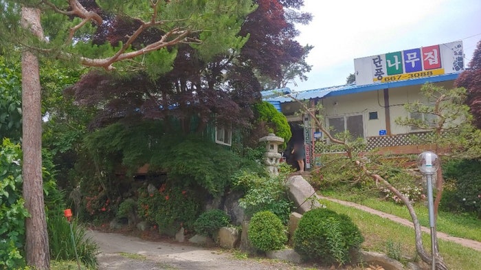서산 삼계탕 단풍나무집 점심 먹으러 갑니다. 개인취향 ^^