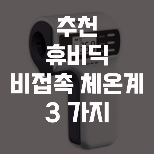  비접촉 체온계 휴비딕 추천 순위 3 가지