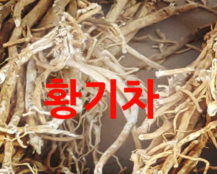  황기차 알아봅니다.