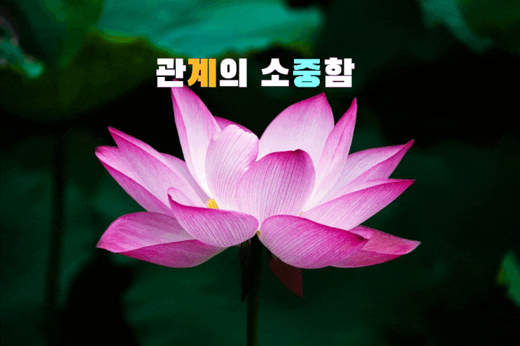 관계의 소중함 관계의 소중함