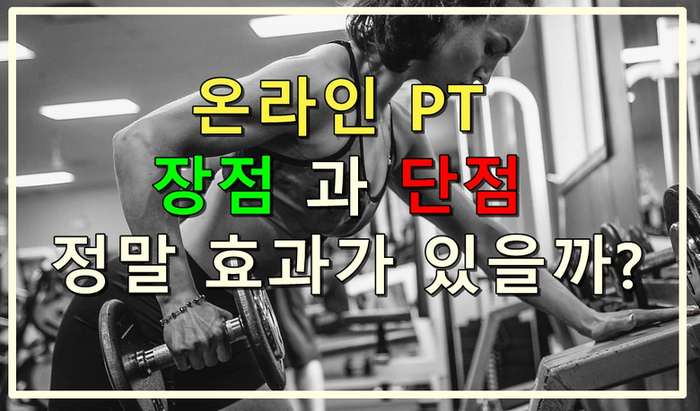 온라인 PT의 장점과 단점 진짜 효과가 있을까??