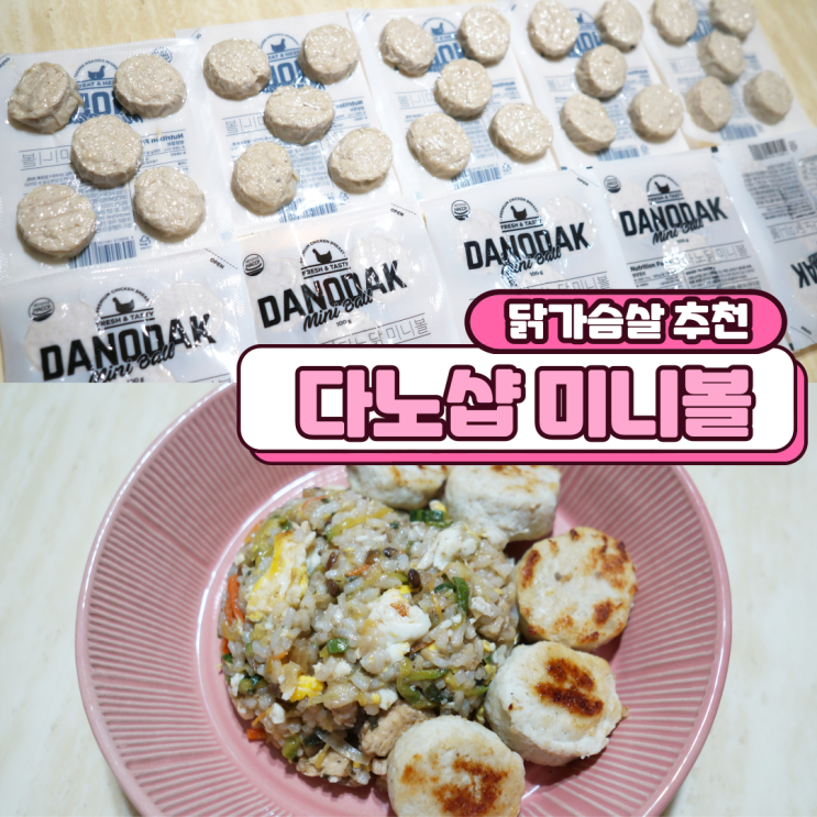 닭가슴살 추천 다노샵 미니볼 촉촉하고 맛있네