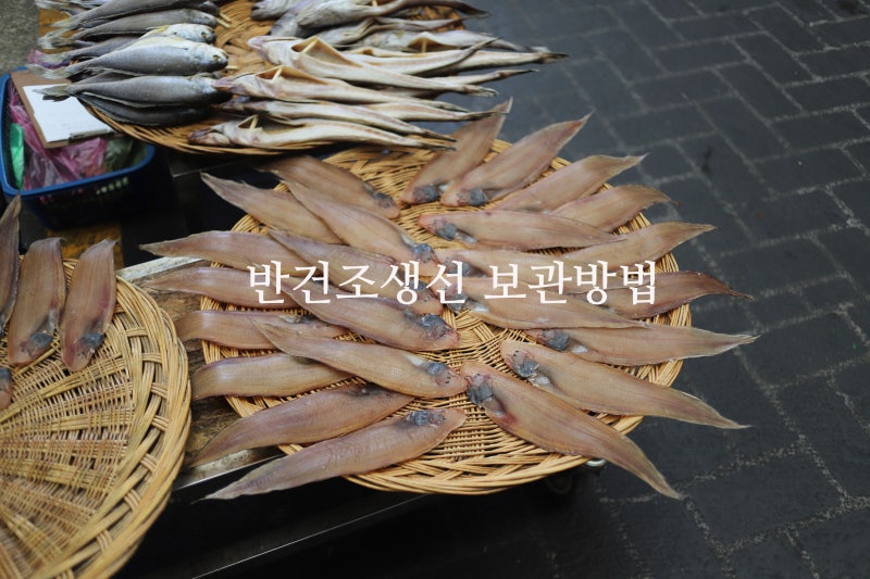 [tip] 말린생선보관방법, 반건조생선보관방법, 반건조생선 맛있게 먹는법