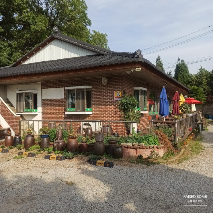 [경기 김포] 김포한강 신도시 구래동 맛집 강릉 해변 메밀 막국수