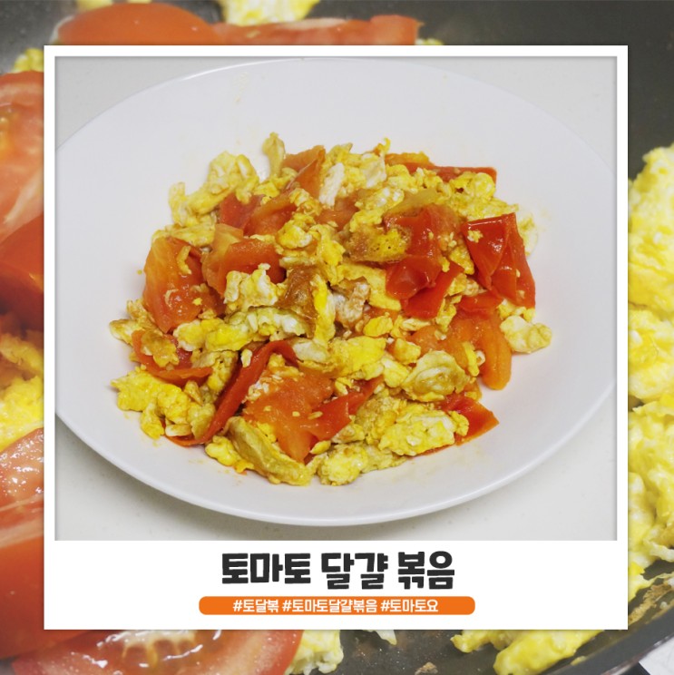 초간단 토마토 달걀 볶음 만들기 키토식단