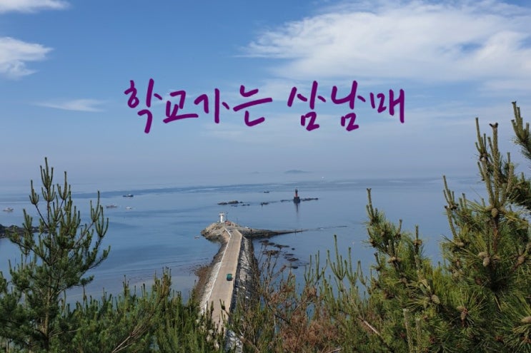  학교개학으로 예전 일상으로 돌아왔지만 마스크는 필수!!