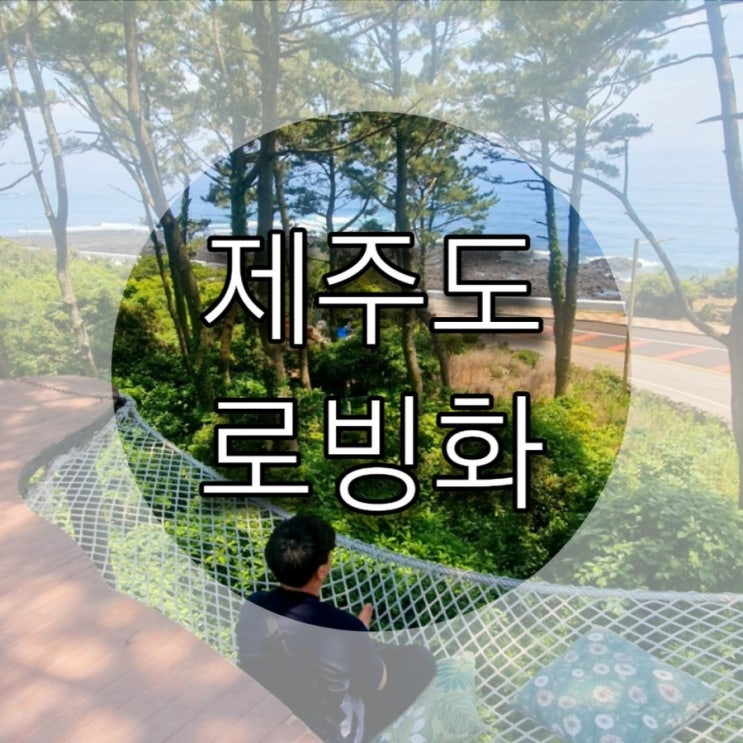   [제주도] 인스타감성 '로빙화'