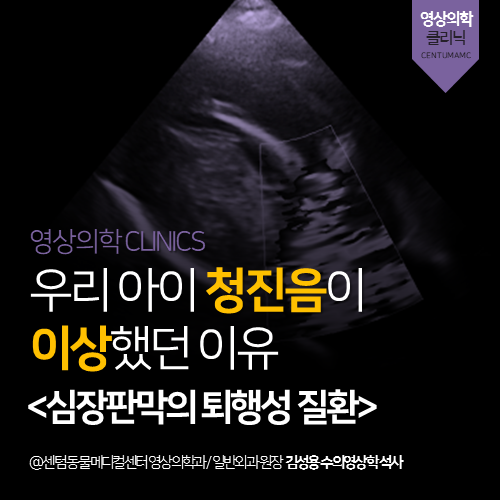  [심장전문진료] 강아지 심장판막 퇴행성 질환 (심장 초음파 전문 동물병원)