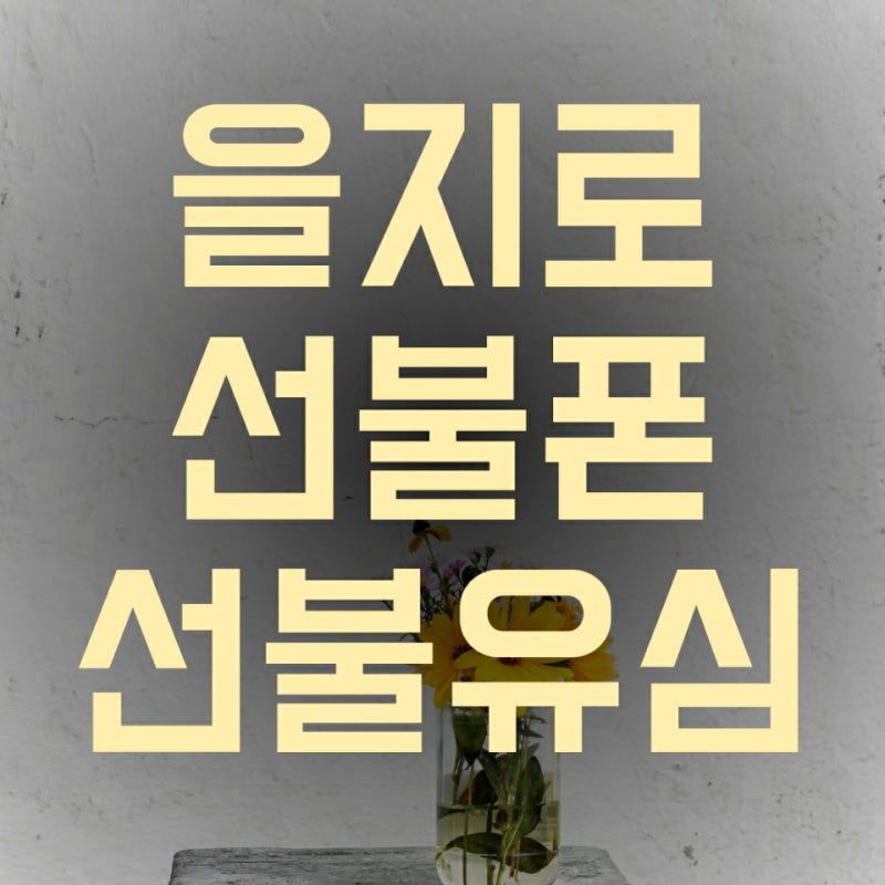 을지로 선불폰 빠르게 개통하는 꿀팁
