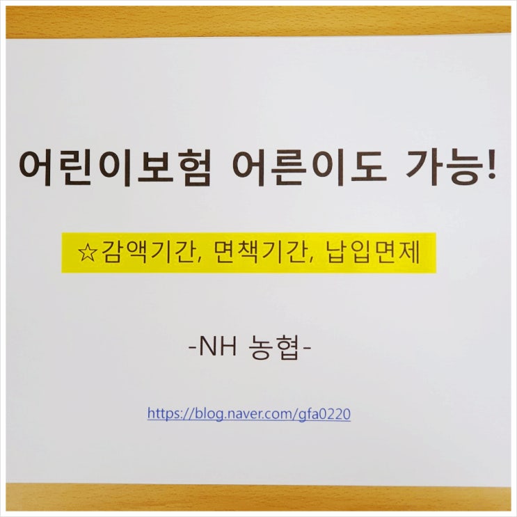  어린이 보험 어른이도 가능?