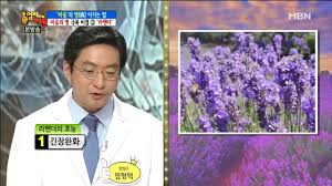  우울과 불안에 좋은 차 1편 라벤더 : 우울 진정 불면증 라벤더효능부작용