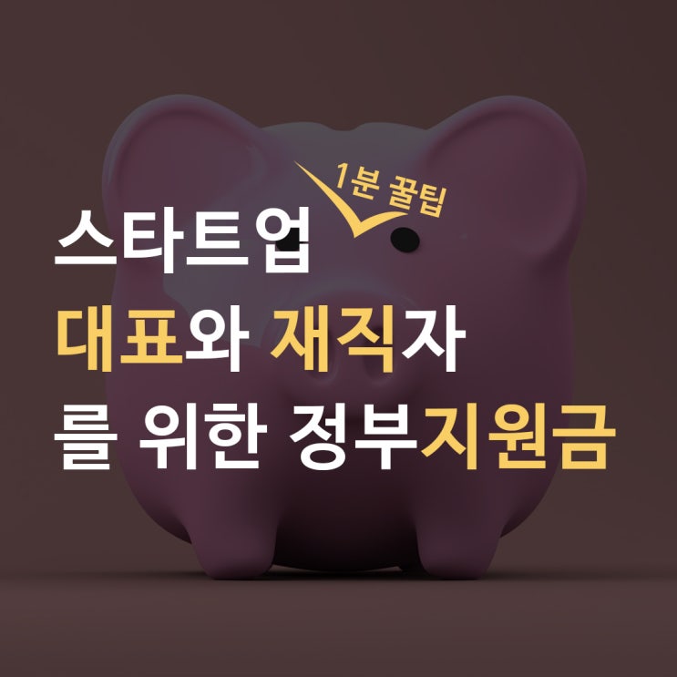  스타트업이 받을 수 있는 정부지원 사업 [중소기업 재직자, 대표]