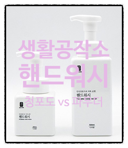  계속 손 씻고 싶어지게 만드는 생활공작소 핸드워시(두가지향)