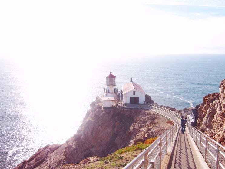  San Francisco 근처 여행 6 |  Point Reyes 포인트 레예스 등대