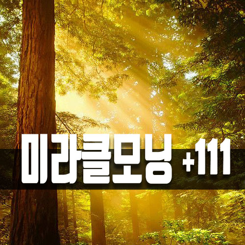  아침형 인간 되기 프로젝트 111일차