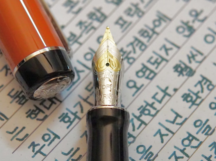 자연은 순전히 아름다운 것이란 환상에 빠져서는 안 된다 (파커 듀오폴드 센테니얼 빅레드 F닙)