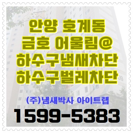  안양하수구냄새 화장실 변기 욕조 해충 모기차단 (안산, 군포)