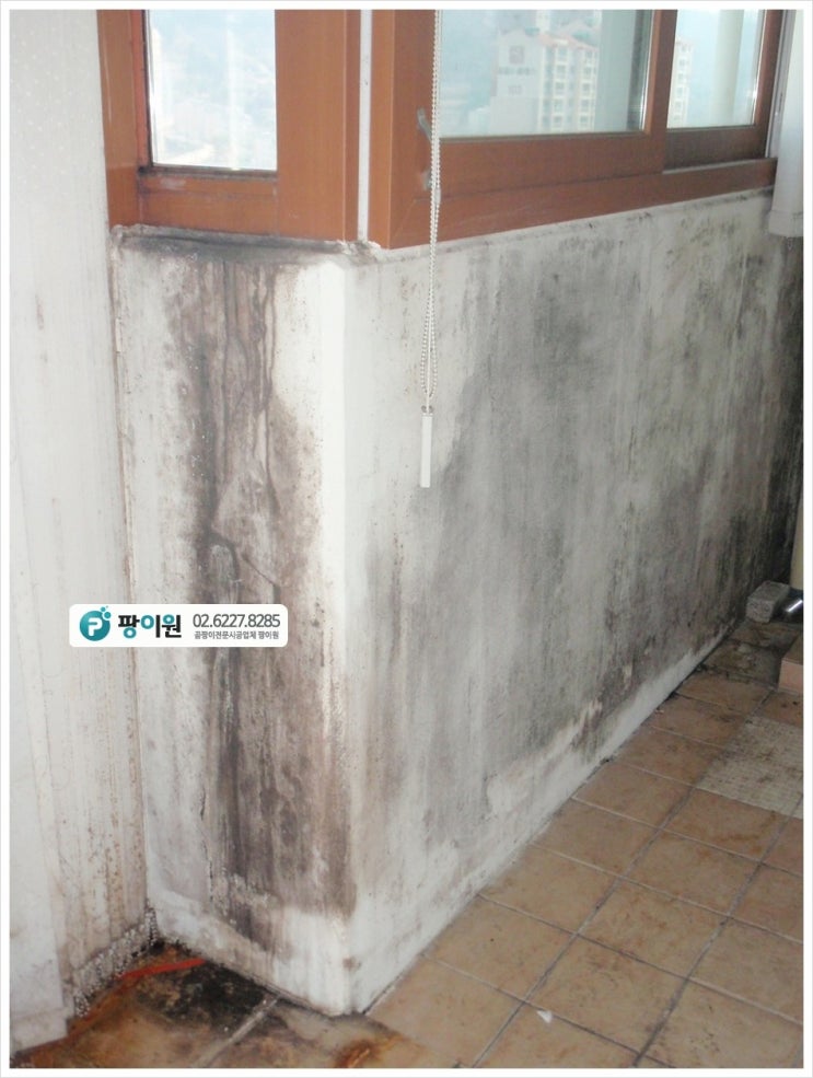  지긋지긋 베란다 곰팡이제거? 업체에 맡겨 완전 해결!