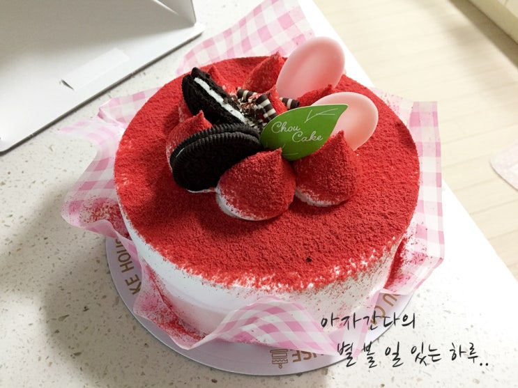  창원 진해 슈케익 하우스 맛있는 케이크가 단돈 만원!!
