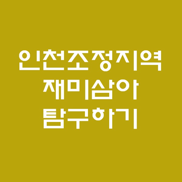  <경매 일주일이면 떠블오케이만큼 한다> - 인천 투기,조정지역 탐구 -