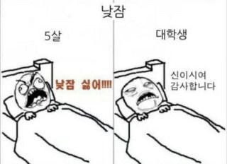 움짤/짤방모음] 대학생, 대학원생 공감짤 : 네이버 블로그