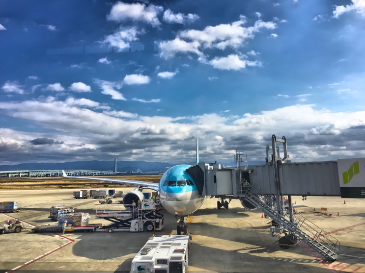  대한항공 7월 3일 세부-인천구간 임시편 운항 예정