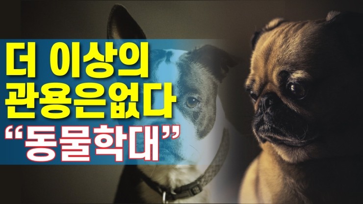  [코리아티비] “동물학대” 더 이상의 관용은 없다