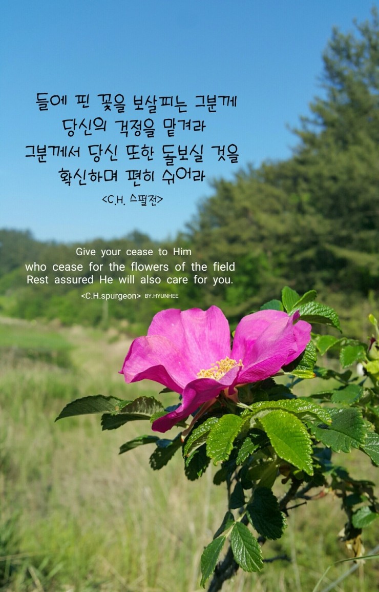  믿음