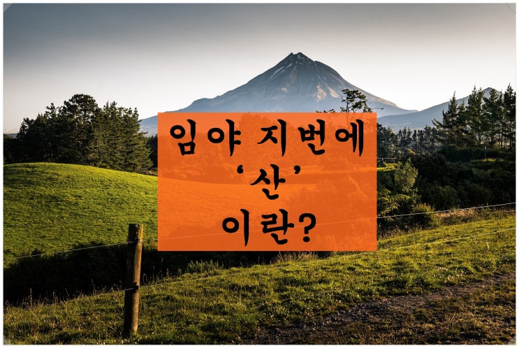  <부동산 상식>토지 지번에 ‘산’ 이란? ‘산’이 있고 없고의 차이는?