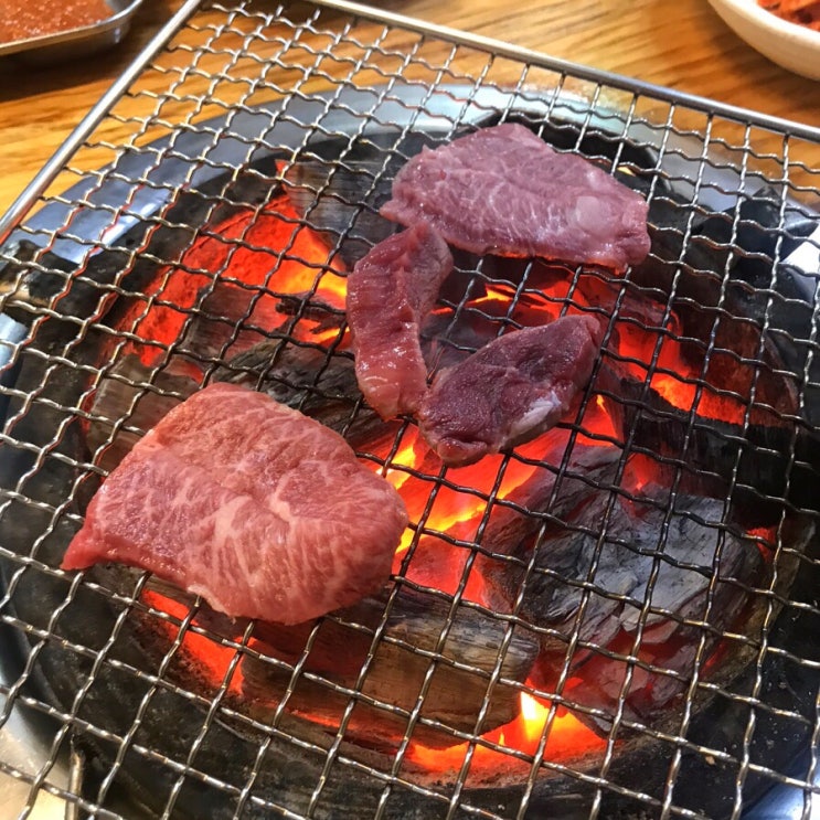  [강원도 원주중앙시장 맛집 원주한우골목 우리장터 한우모둠숯불구이 갈비살] 소확행: 역시 소고기는 확실한 행복