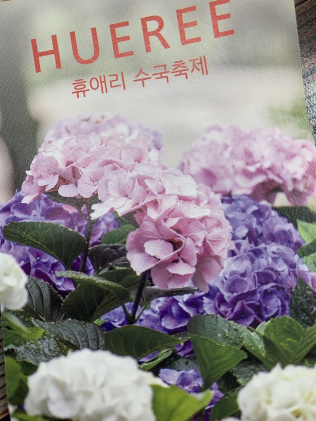  제주 휴애리 자연생태공원 유럽 수국축제 동물학대