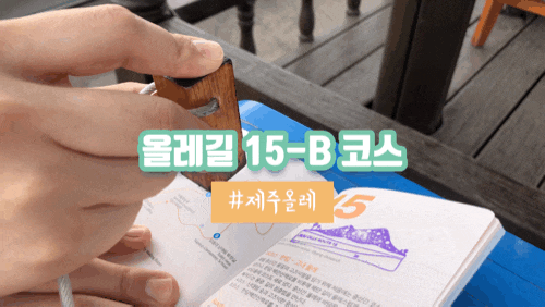 제주 올레길 15코스 걸은 후기(+한림항 맛집 추천)