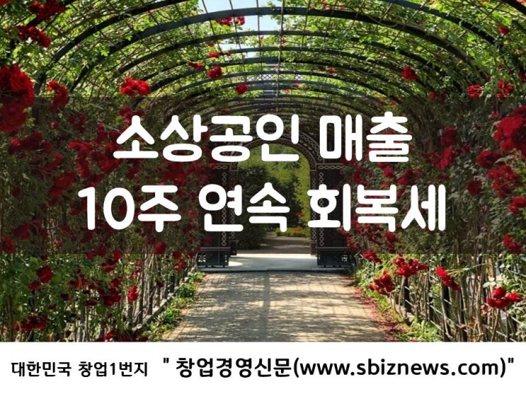  소상공인 매출, 10주 연속 회복세
