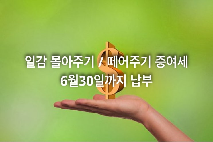  일감 몰아주기/ 떼어주기 증여세 6월30일까지 납부