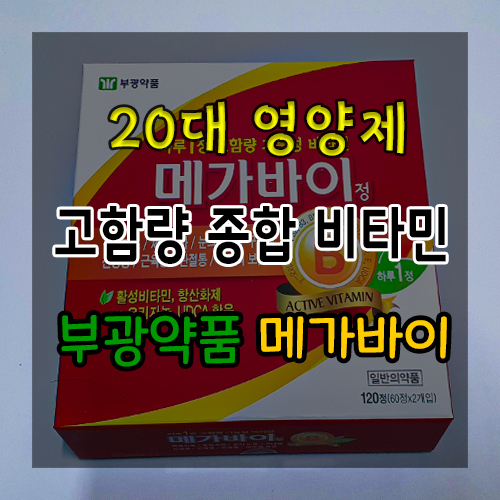  20대 영양제 :종합 비타민 부광약품 메가바이 / 코로나 지원금으로 구매한 솔직리뷰!