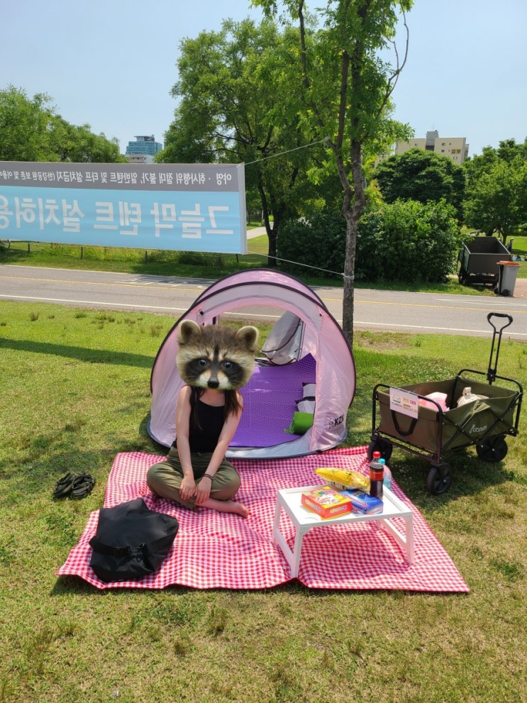  여의도 한강 텐트 대여, 돗자리대여: 편하고 가볍게 피크닉 다녀오기!