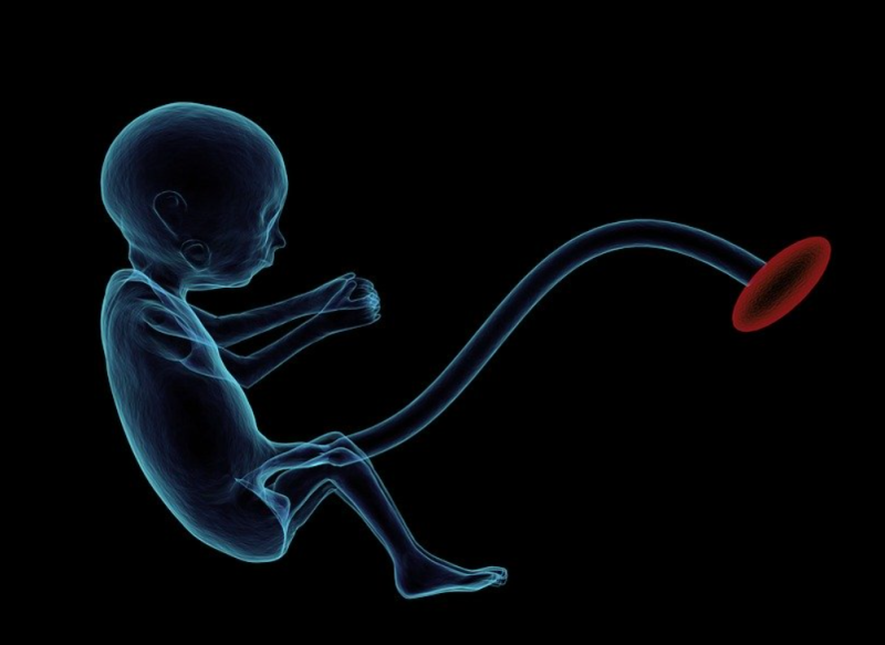 관계후 생리늦음, 혹시 임신일까요? 기간(1주, 2주, 4주)에 따른 임신 확인법 안내 : 네이버 블로그 관계후 생리늦음, 혹시 임신일까요? 기간(1주, 2주, 4주)에 따른 임신 확인법 안내 : 네이버 블로그