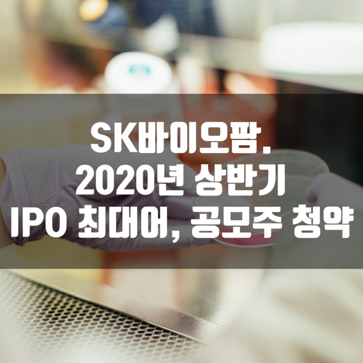  SK 바이오팜. 2020년 상반기 IPO(기업공개) 최대어,공모주 청약