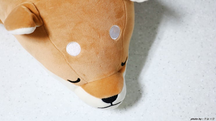  모찌인형선물 기프트앤돌 마카롱시바 시즌2 강아지인형.