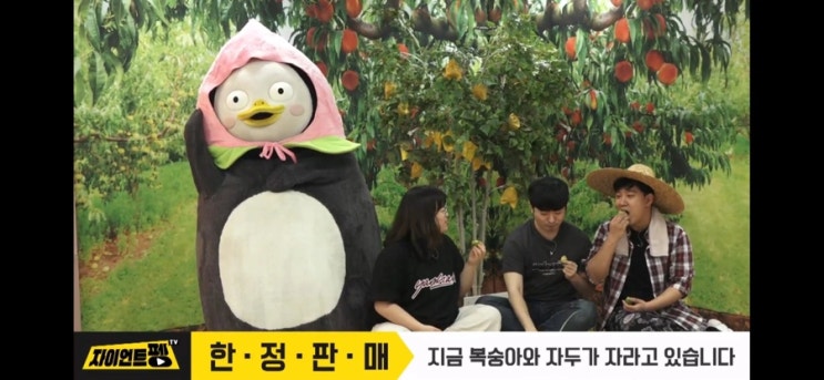  [펭클럽] 펭숭아 득템 ㅠㅠ 나새키 장하다