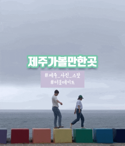제주 사진찍기 좋은 곳 나홀로나무/ 제주마방목지/ 도두해안도로/ 이호테우