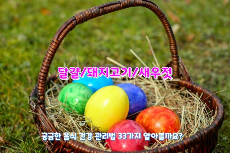 궁금한 음식 건강 관리법 33가지 알아볼까요? 궁금한 음식 건강 관리법 33가지 알아볼까요?