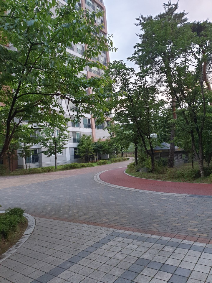  다이어트로 만나는 새벽공기