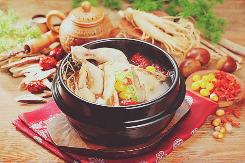  삼계탕 끓이는 법 황금 레시피