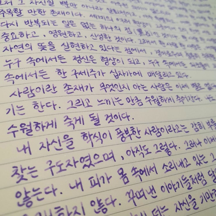  필사노트/ 로이텀 미디엄노트