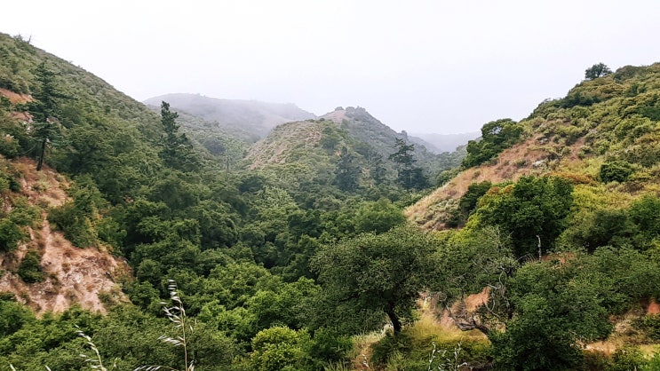  LA 주변 하이킹 | Claremont Hills Wilderness Park
