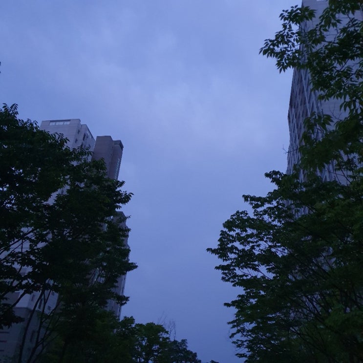  너의 하루를 응원하마,  24시간이 부족해 ღ