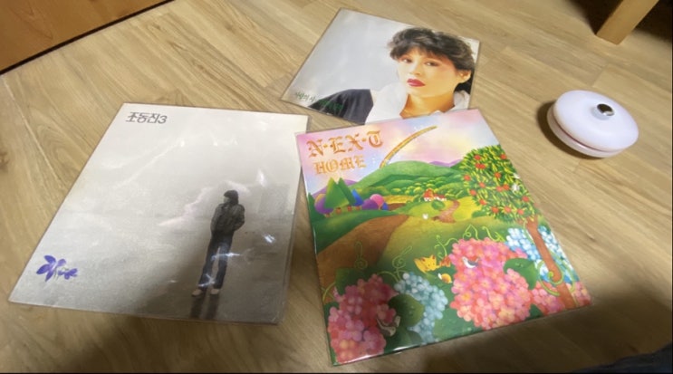  6월에 LP 세척과 목록