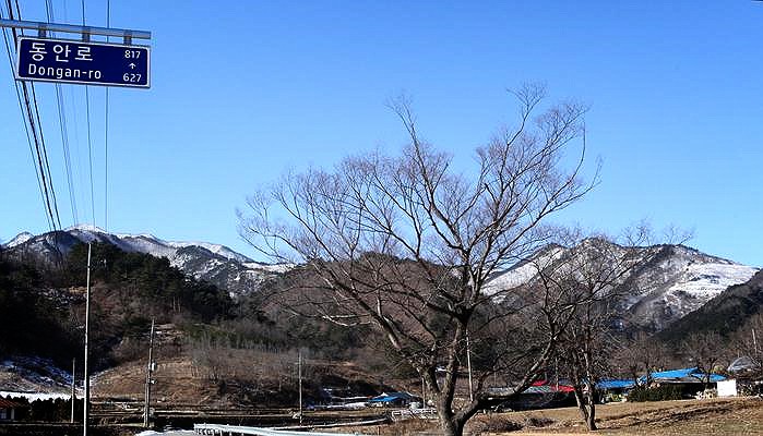  강원도 삼척의 천은사