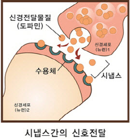  수면제란?